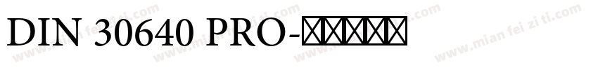 DIN 30640 PRO字体转换